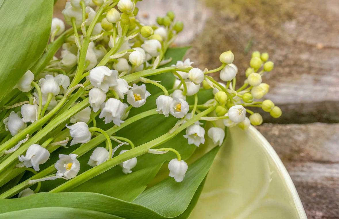 Muguet Element Car Air Freshener – Handcrafted with Love in the USA for a Long-Lasting, Luxurious Drive!